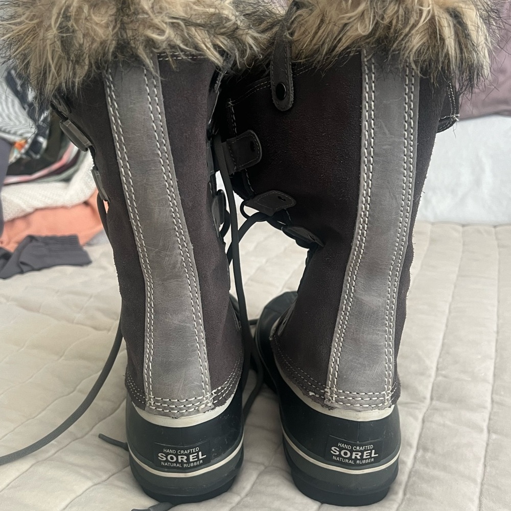 Sorel, Joan of Arctic.